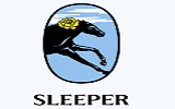 The Sleeper