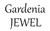 Gardenia Jewel