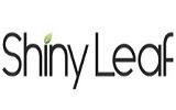 Shiny Leaf