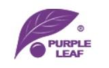 Purple Leaf