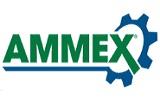Ammex Coupon and Coupon Codes