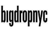 Bigdropnyc Coupon and Coupon Codes