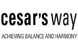 Cesarsway Coupon and Coupon Codes