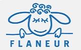 Hiflaneur Coupon and Coupon Codes