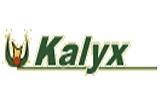 Kalyx Coupon and Coupon Codes