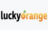 Luckyorange Coupon and Coupon Codes