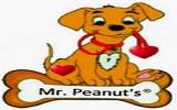Mrpeanutspremiumproducts Coupon and Coupon Codes