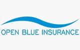Openblueinsurance Coupon and Coupon Codes
