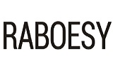 Raboesy Coupon and Coupon Codes