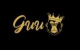 Theguushop Coupon and Coupon Codes