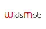 Widsmob Coupon and Coupon Codes